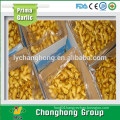 2015 new crop high quality fresh ginger for sale